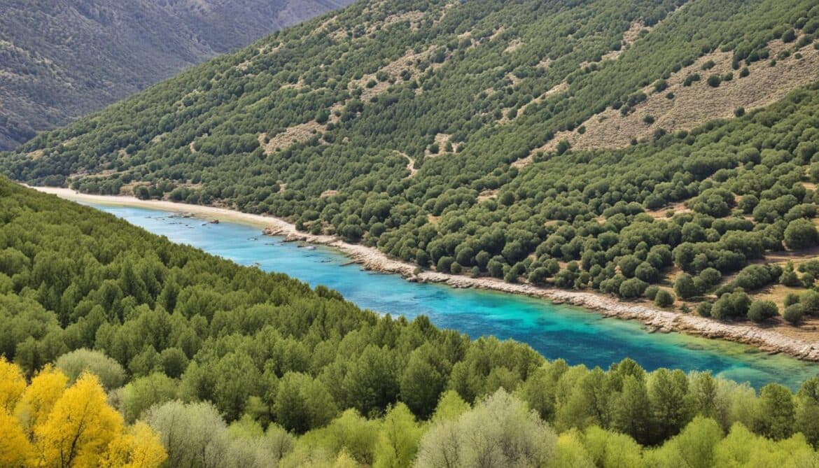 Spain Biodiversity: Animal and Plant Species and What Is Under Threat