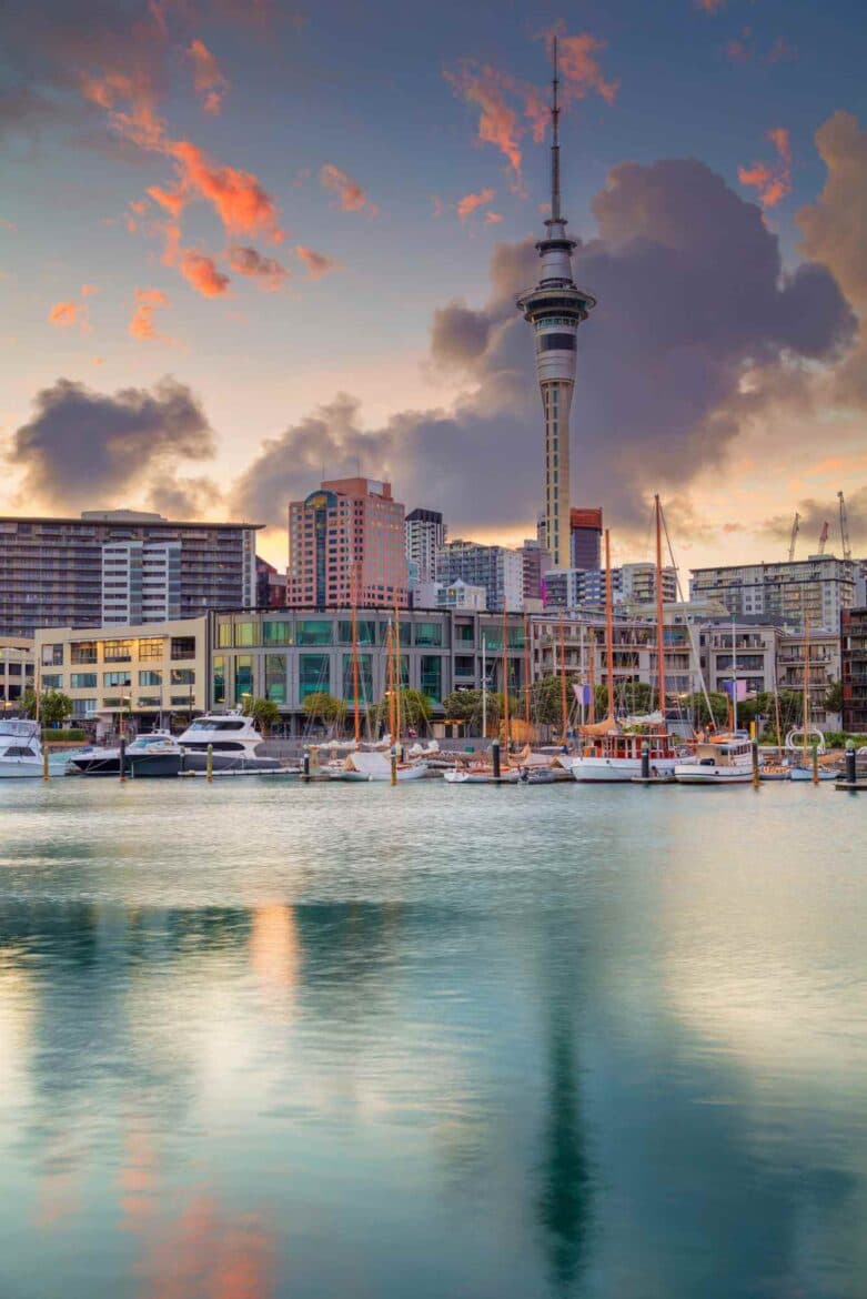 What Are Sponge Cities? Auckland Has 35% Sponginess
