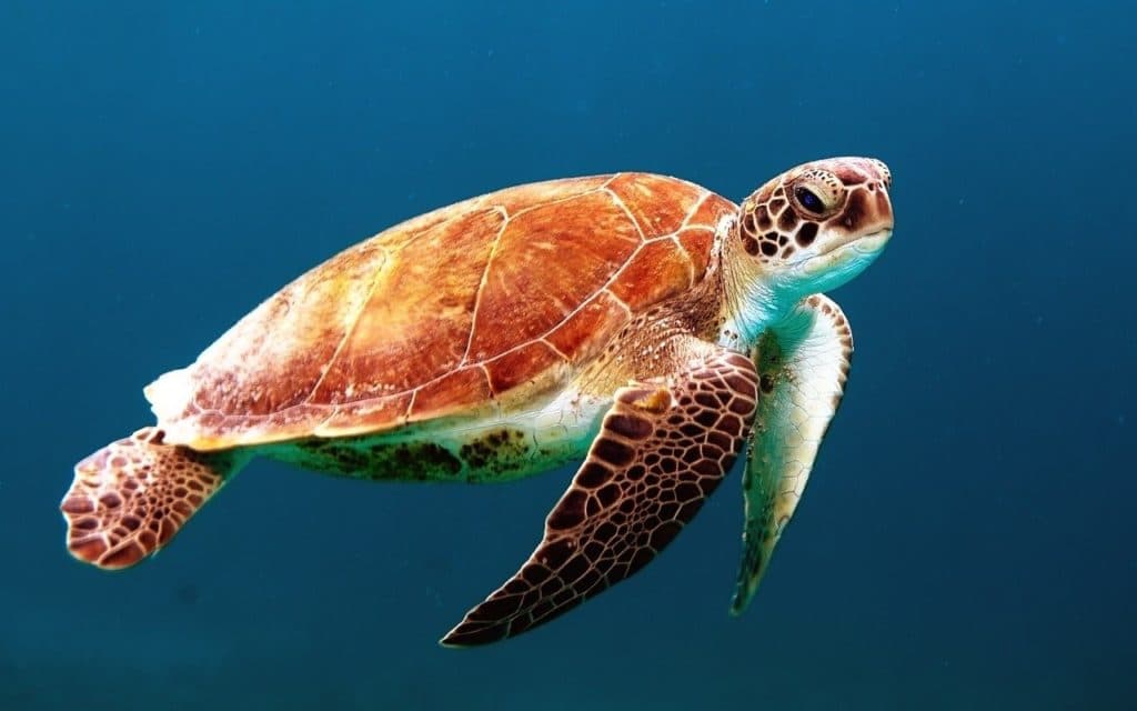 Meet the man that aims to dramatically reduce plastic use in the construction industry