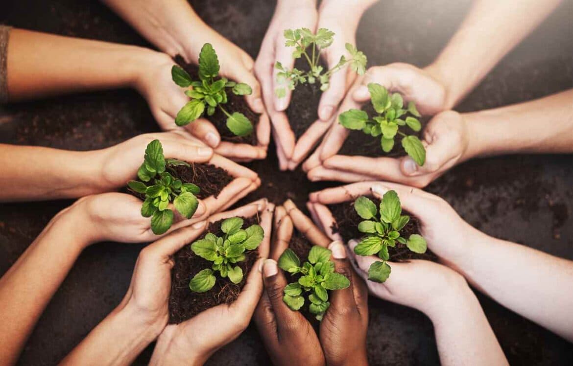 Biodiversity Net Gain Options for Developers: UK Guide