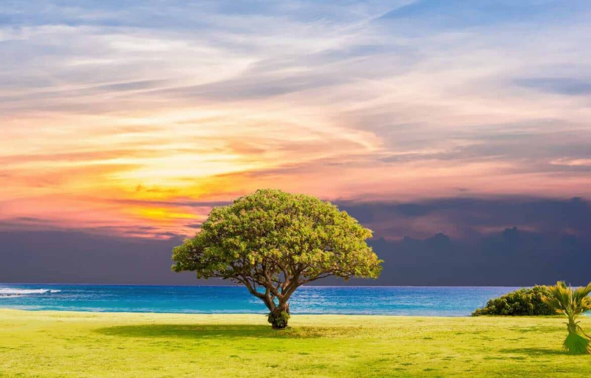 Sustainable Land Management Practices and Their Benefits Unveiled