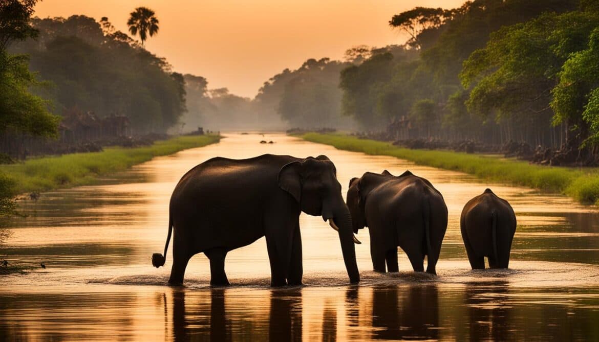 Cambodia Biodiversity and the Built Environment