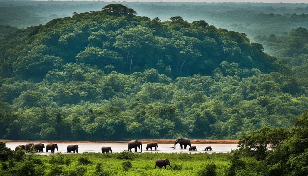 Central African Republic Biodiversity and the Built Environment