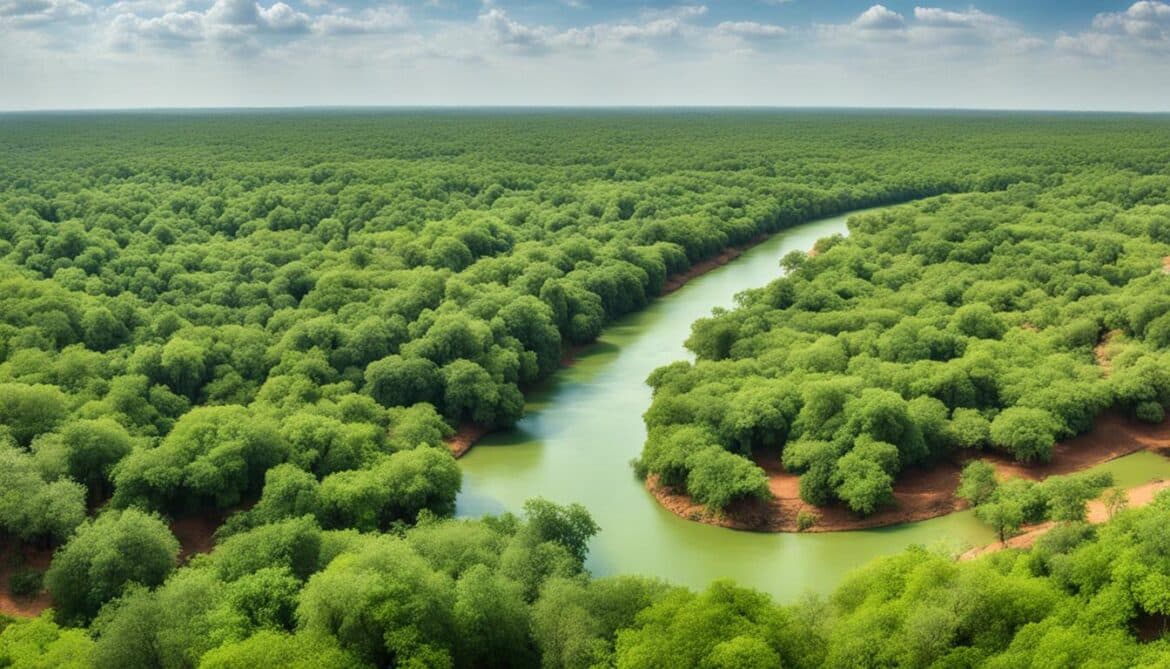 Burkina Faso Sacred Natural Sites and Biodiversity
