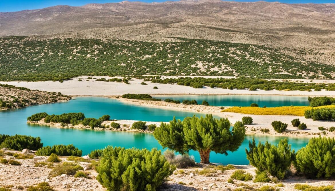 Tunisia Sacred Natural Sites and Biodiversity