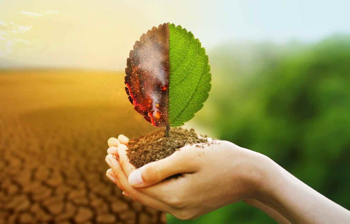 Climate Change and Construction: Can They Co-Exist?