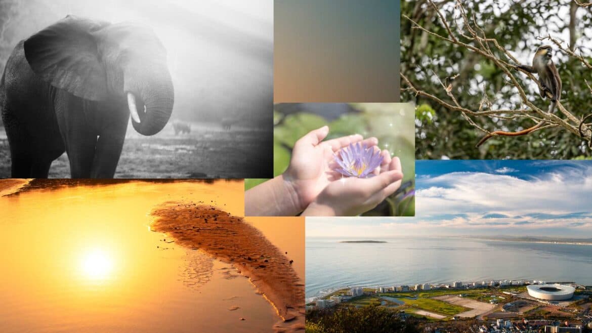 S3, 10: Newsflash: Losing Noah's Ark But Winning Awards