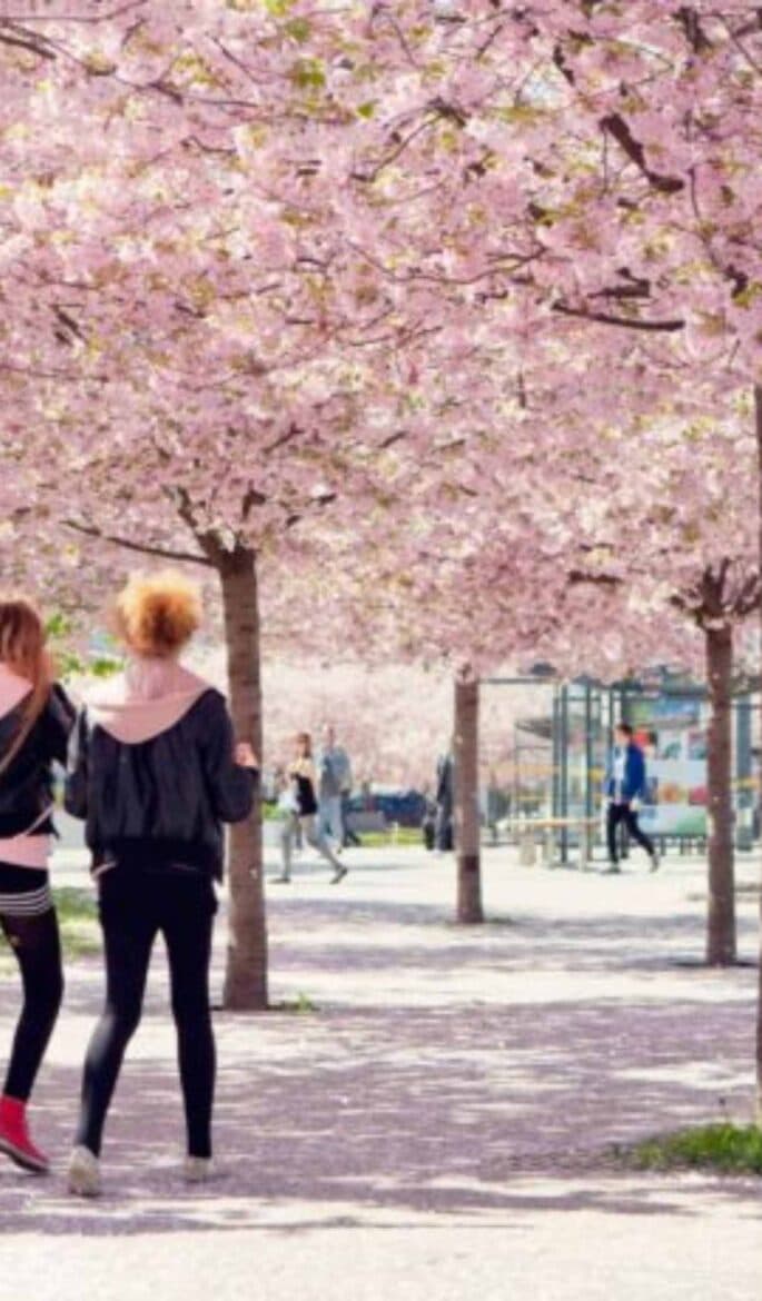 Eco Architecture in Stockholm: Designing for the Climate and the Community